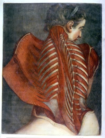 The Flayed Angel, from 